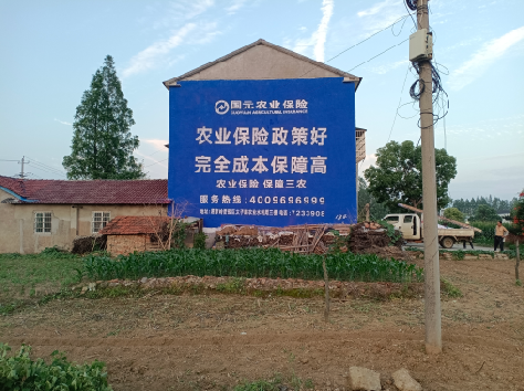 普定墙体广告为何受追捧？